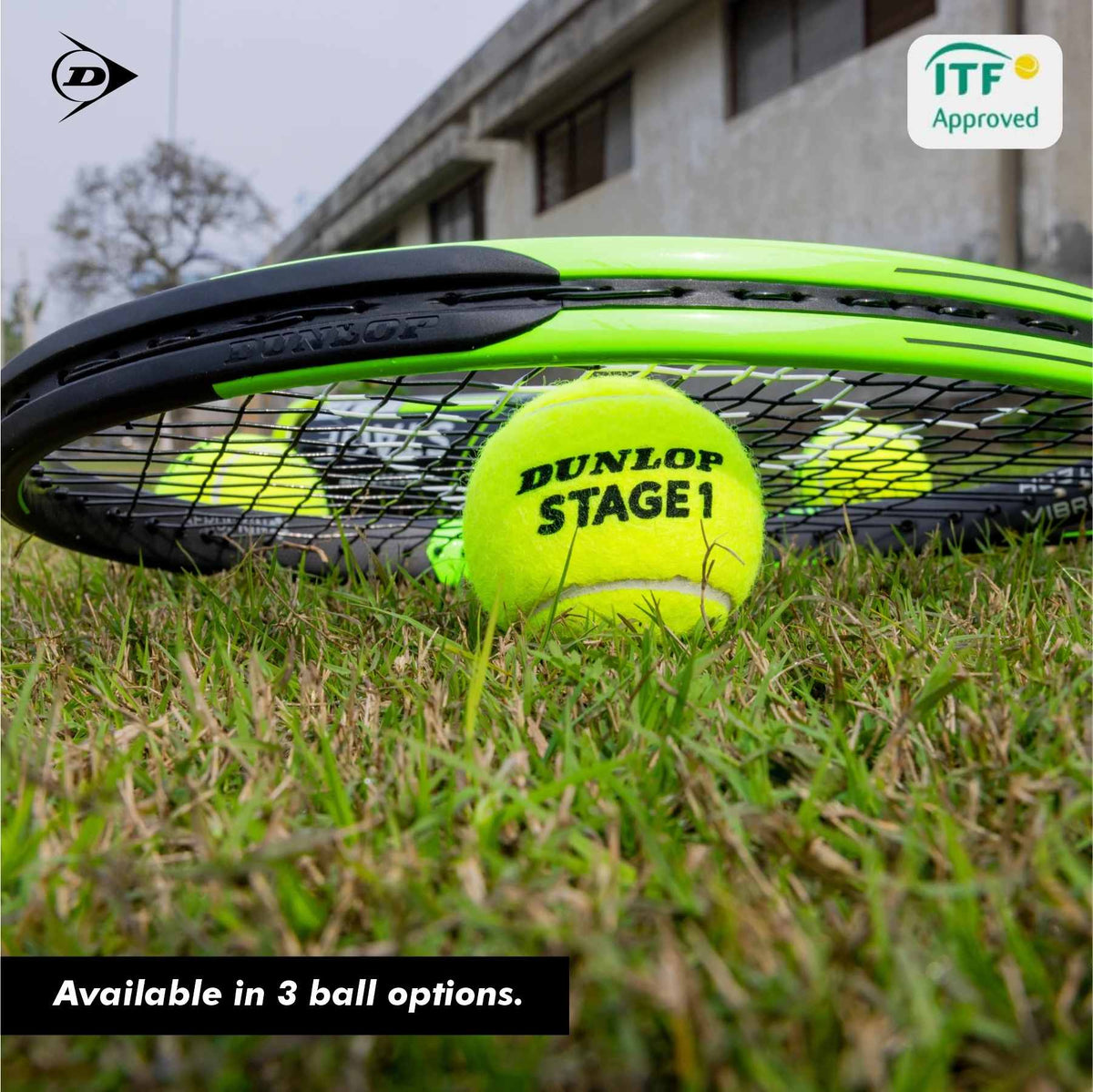 Balles de tennis - Dunlop - Stage 1 vert Balles de tennis - Dunlop - Stage 1 vert