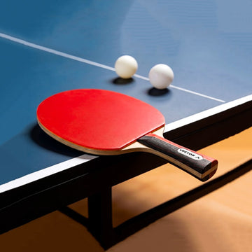Vector X Bigwig Table Tennis Bat Game Accessories for Indoor or Outdoor