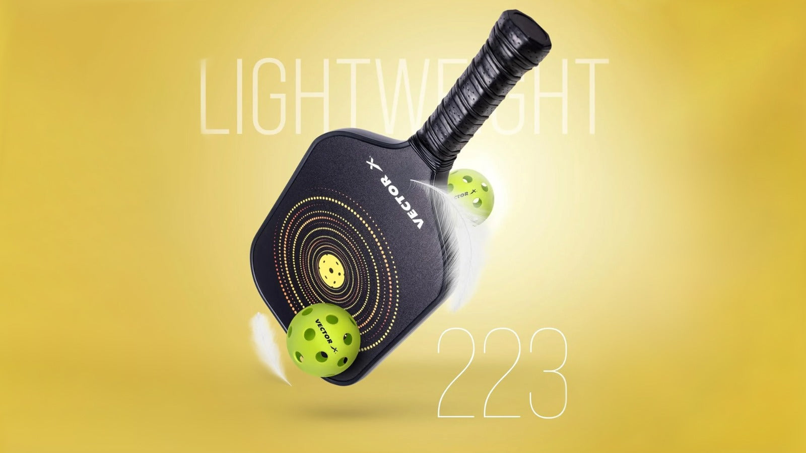 Vector X Graphite Pickleball Bat Desktop