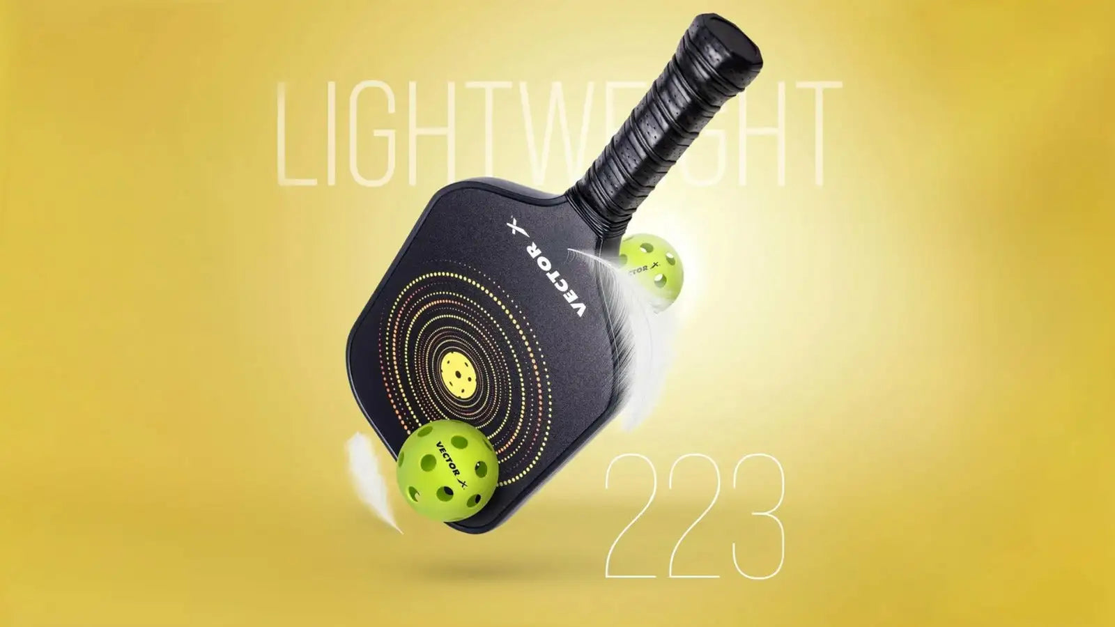 Vector X Graphite Pickleball Bat Desktop