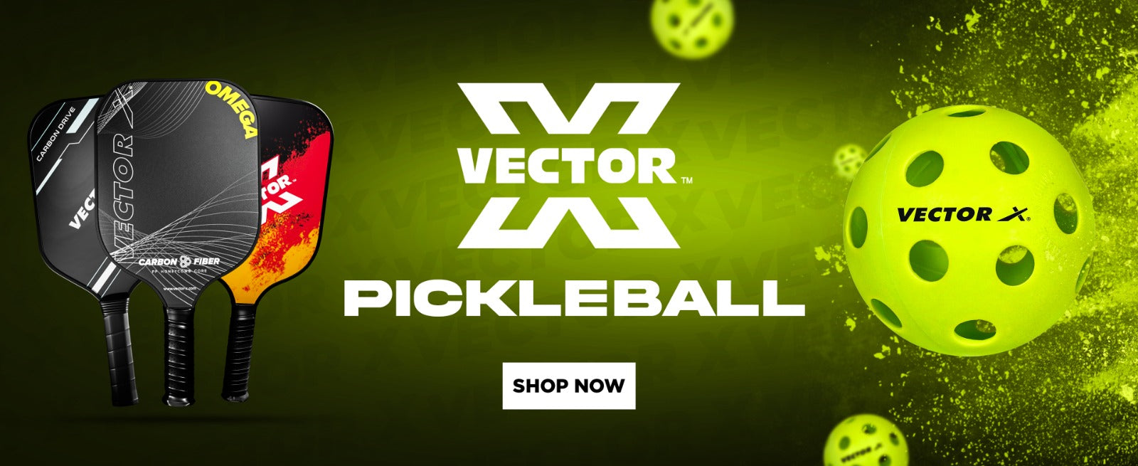 Vector X pickleball paddles and balls sports collectionslider_item_fRPVQY