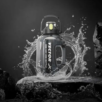 Vector X sports accessories collection including gym bags gloves and supports